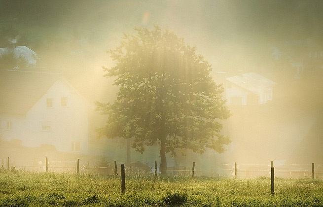 会员商店正版的doss网站攻击