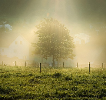 ddos攻击防御手段