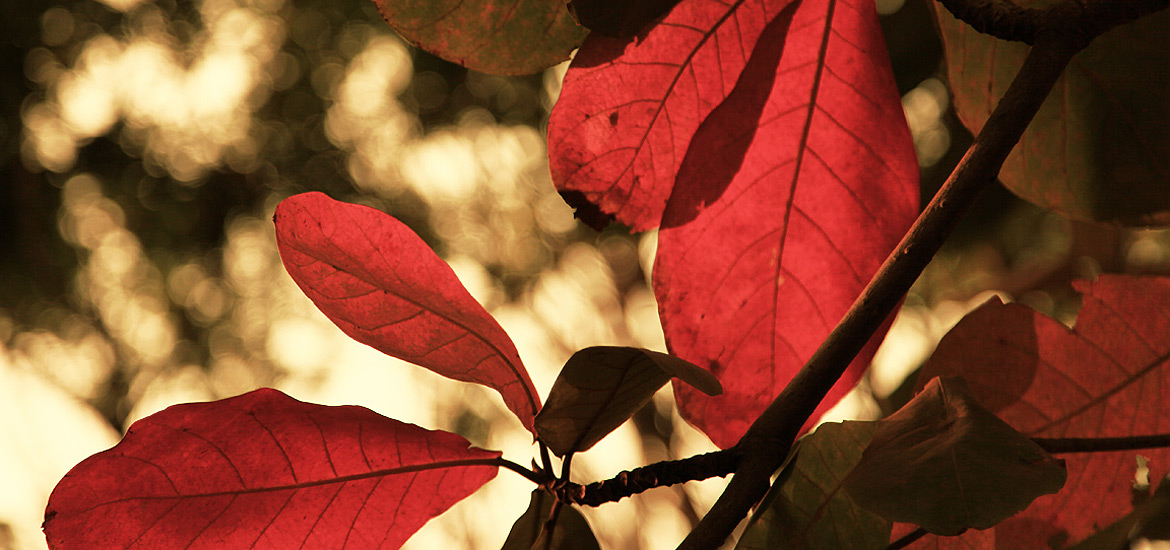 ddos攻击防御手段