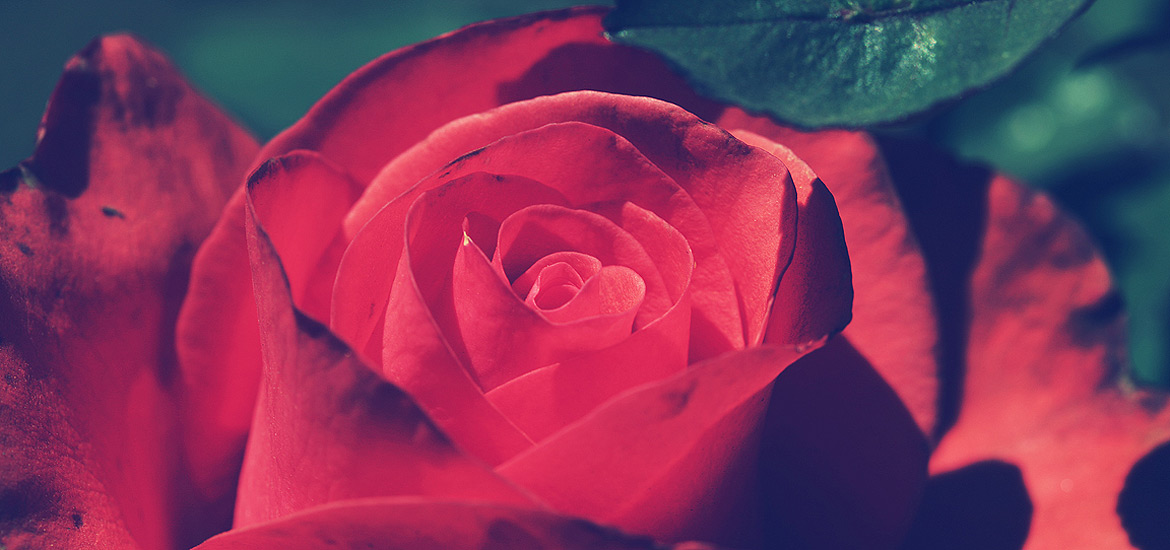 攻击网站的方法